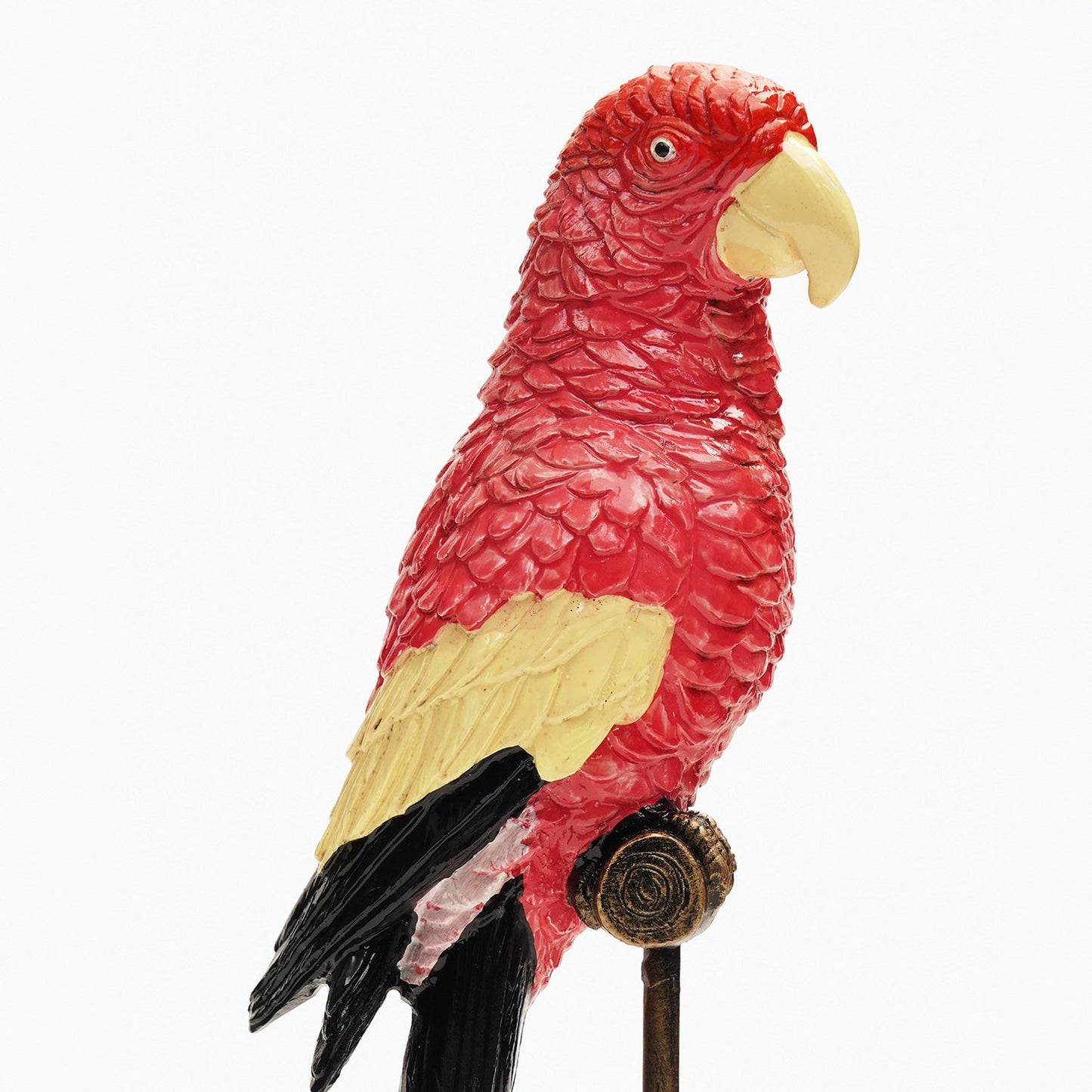 Coral Polyresin Exotic Parrot with Stand