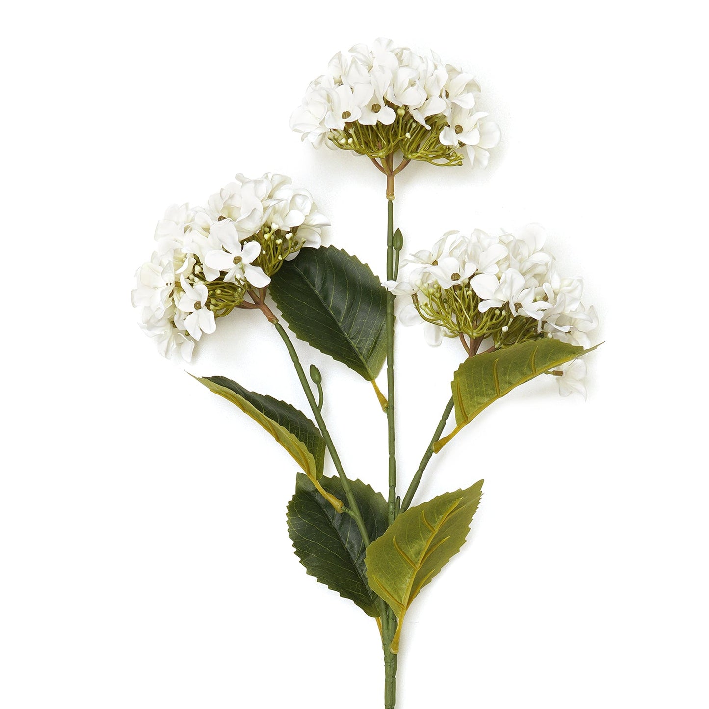 Ivory Hydranger Artificial Flower Stem - Single