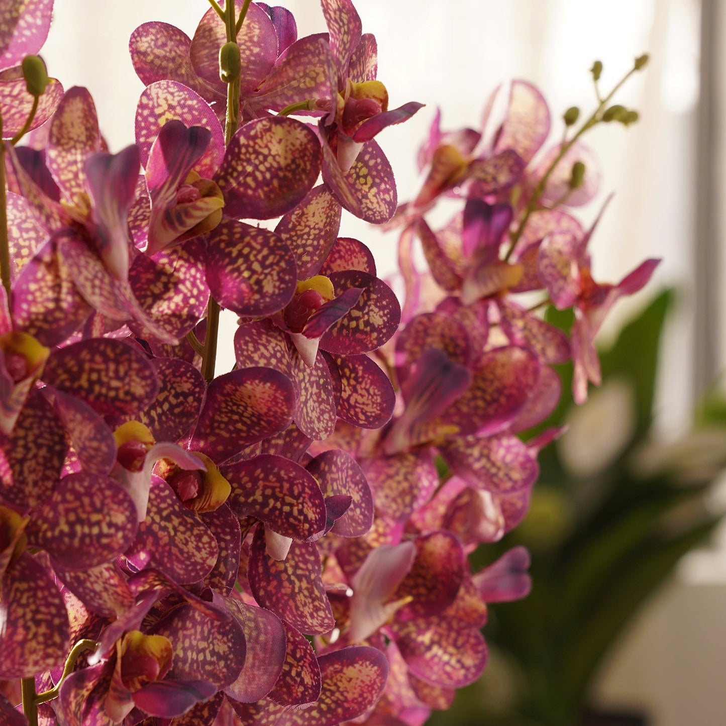 Plum Mokara Artificial Flower Stem - Single