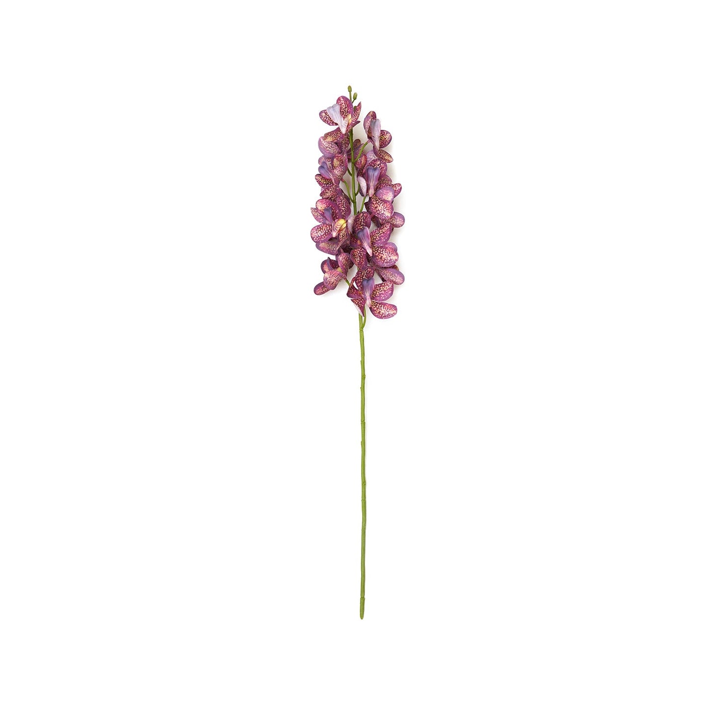 Plum Mokara Artificial Flower Stem - Single