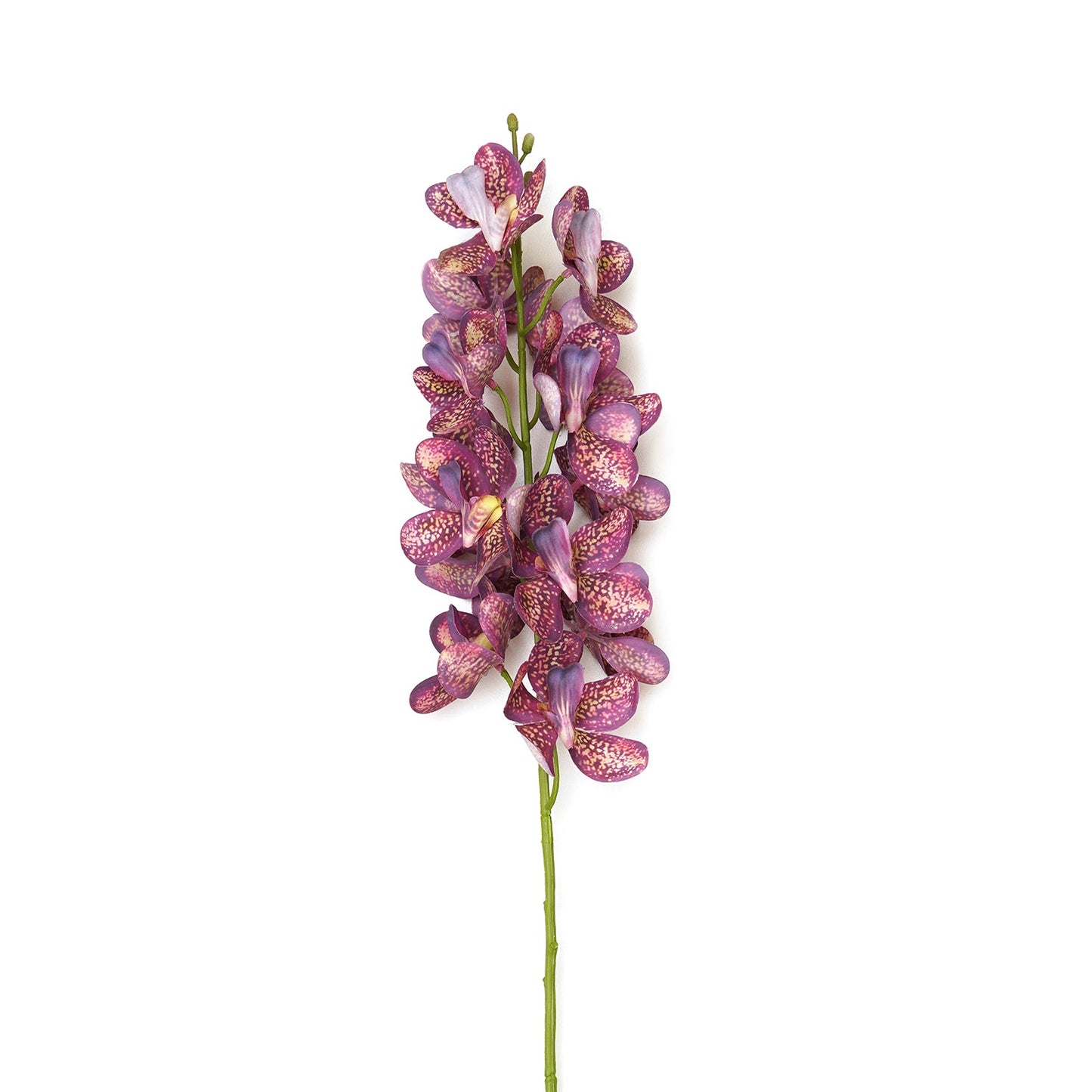 Plum Mokara Artificial Flower Stem - Single
