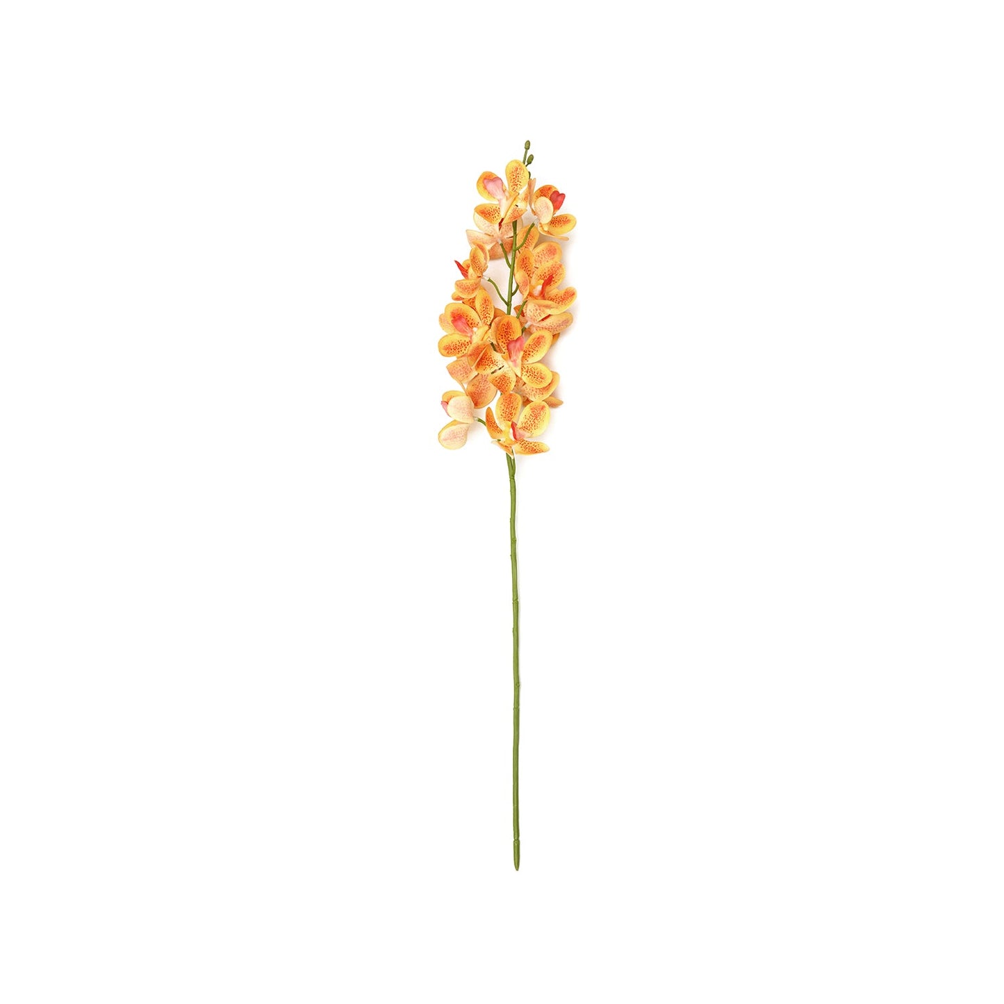 Orange Mokara Artificial Flower Stem - Single