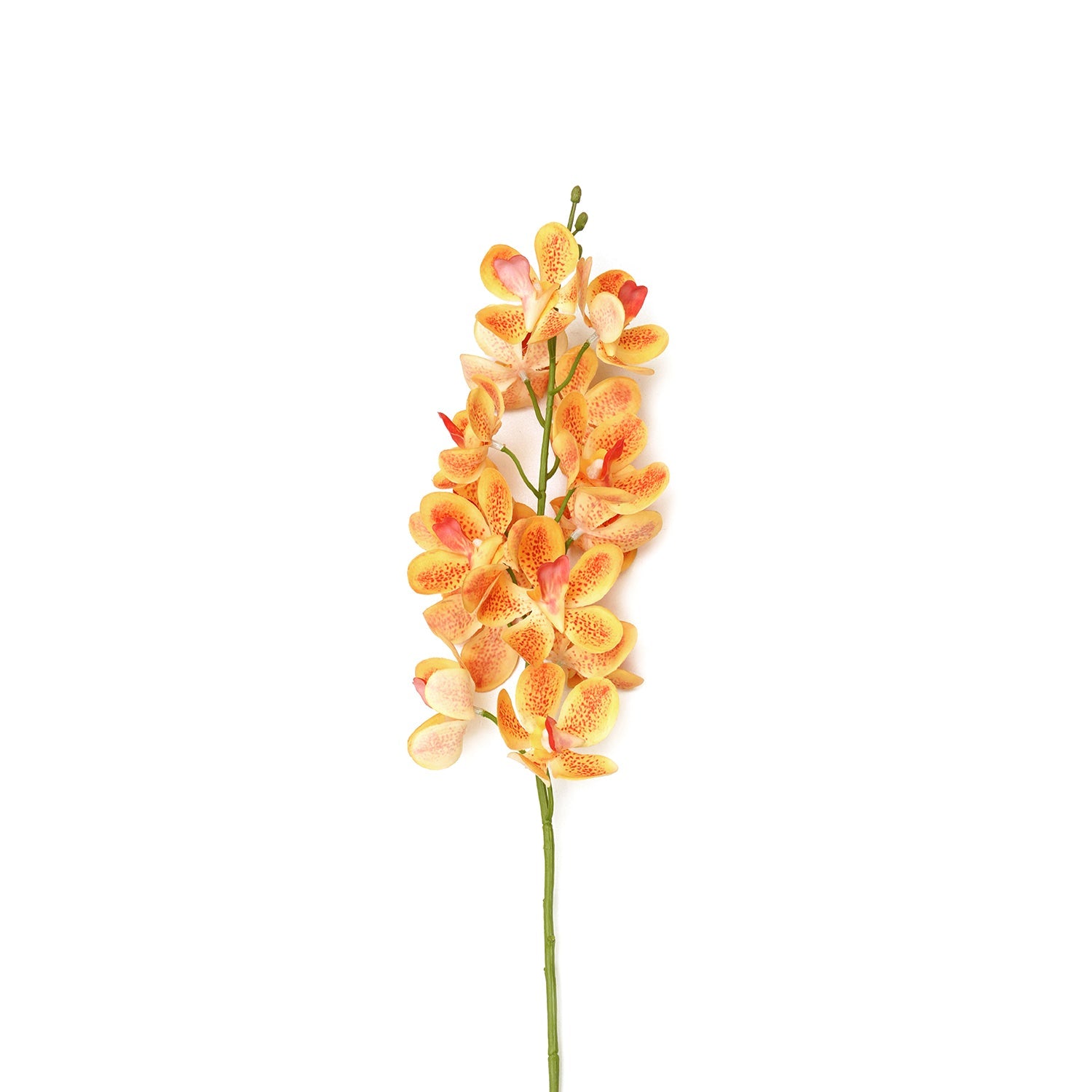 Orange Mokara Artificial Flower Stem - Single