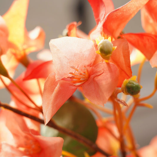 Orange Bougainvellia Artificial Flower Stem - Single