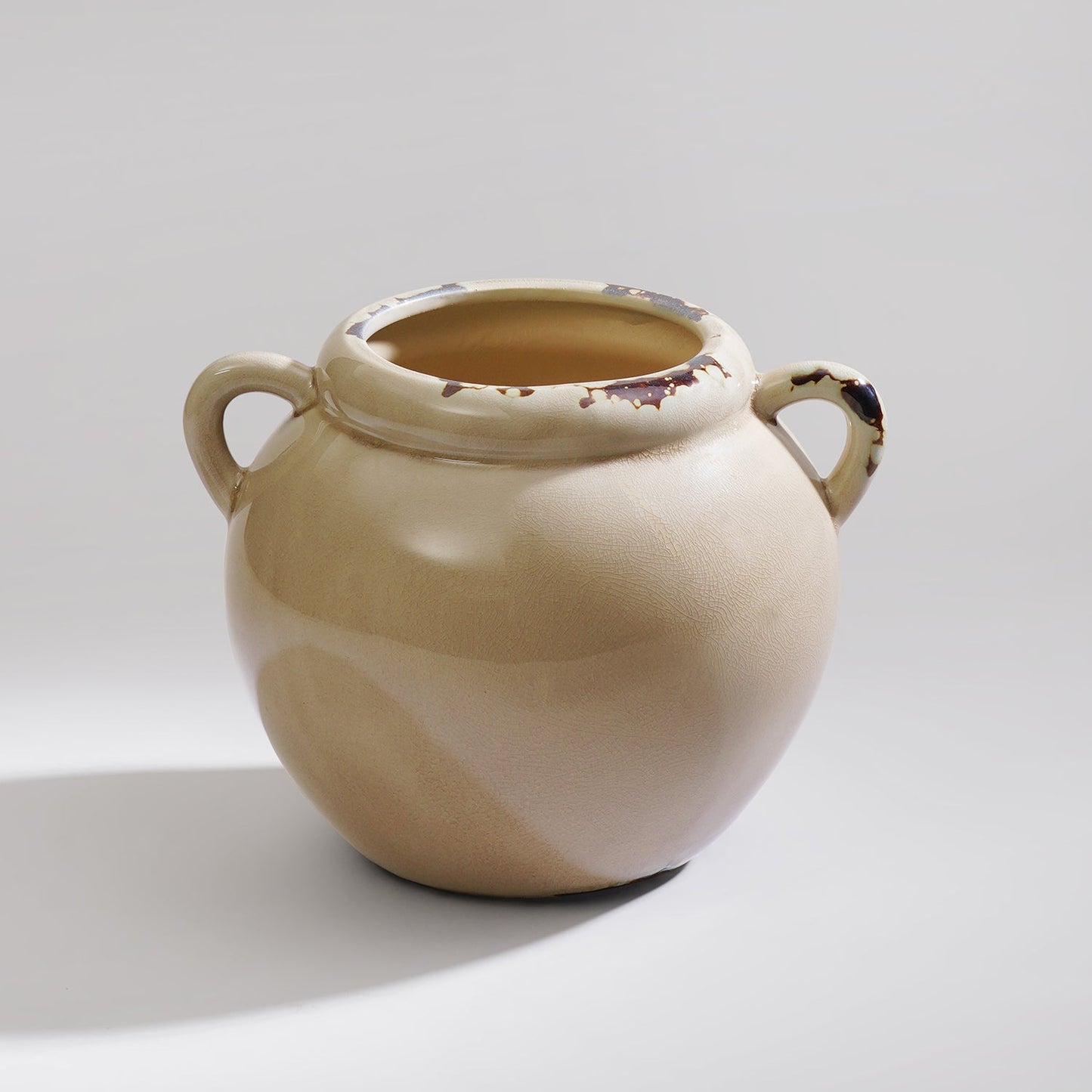 Beige Rustic Ceramic Vase with Two Handles