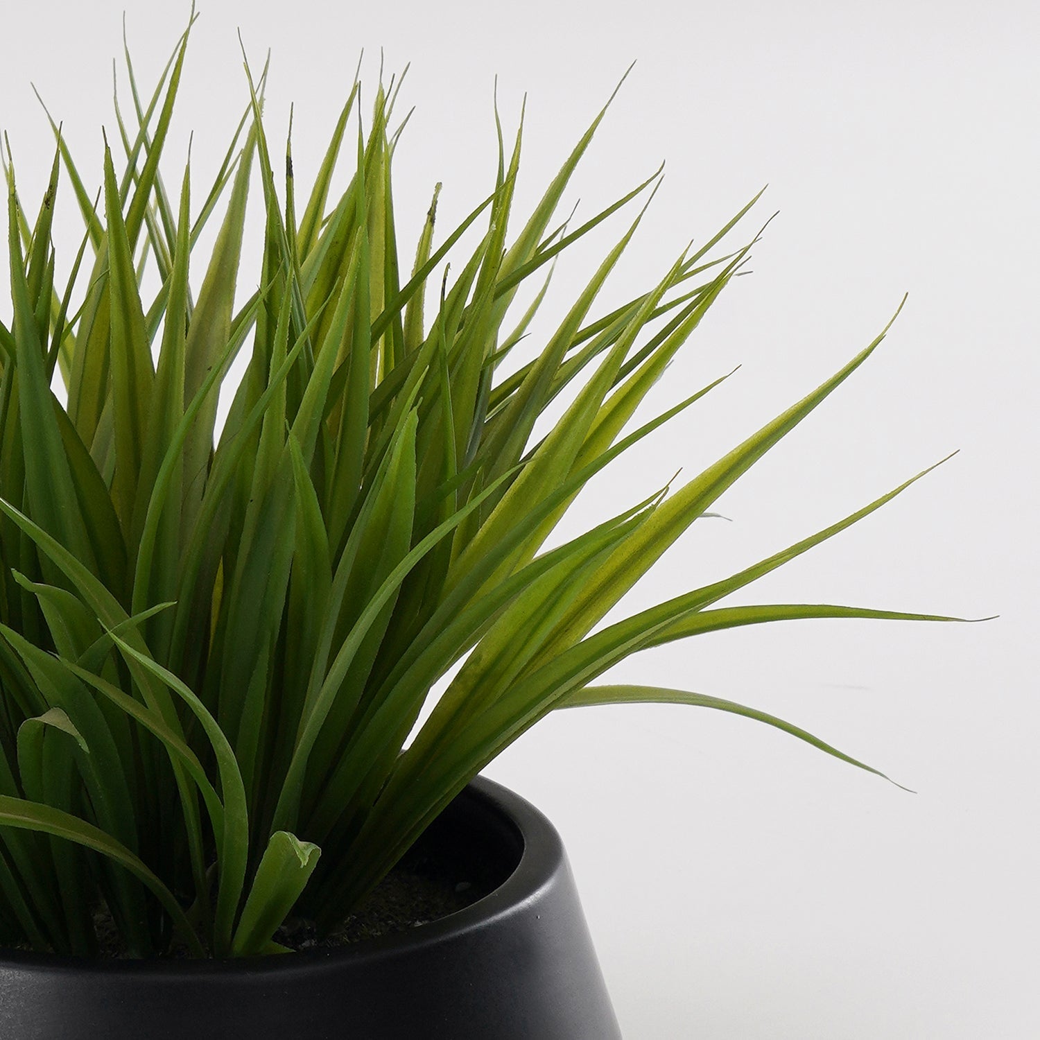 Green Artificial Grass in Cement Pot - Medium
