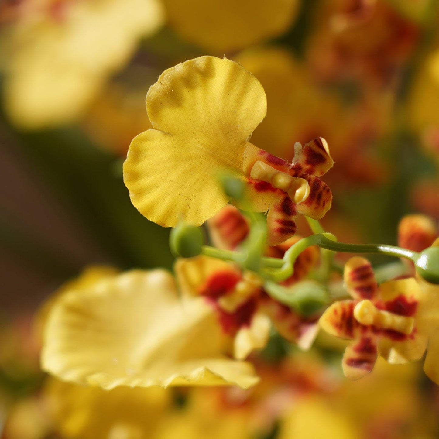 Orange Artificial Orchid in Cement Pot