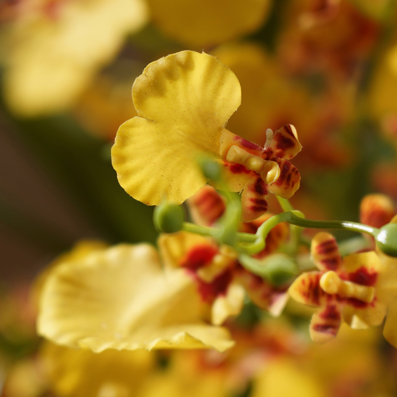 Orange Artificial Orchid in Cement Pot