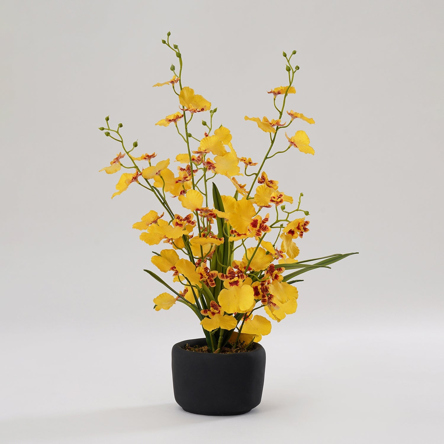 Orange Artificial Orchid in Cement Pot