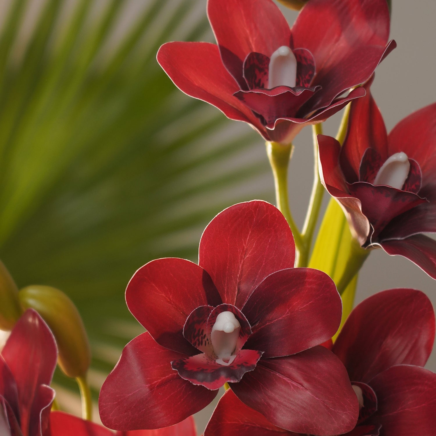 Red Artificial Cymbidium in Ceramic Pot