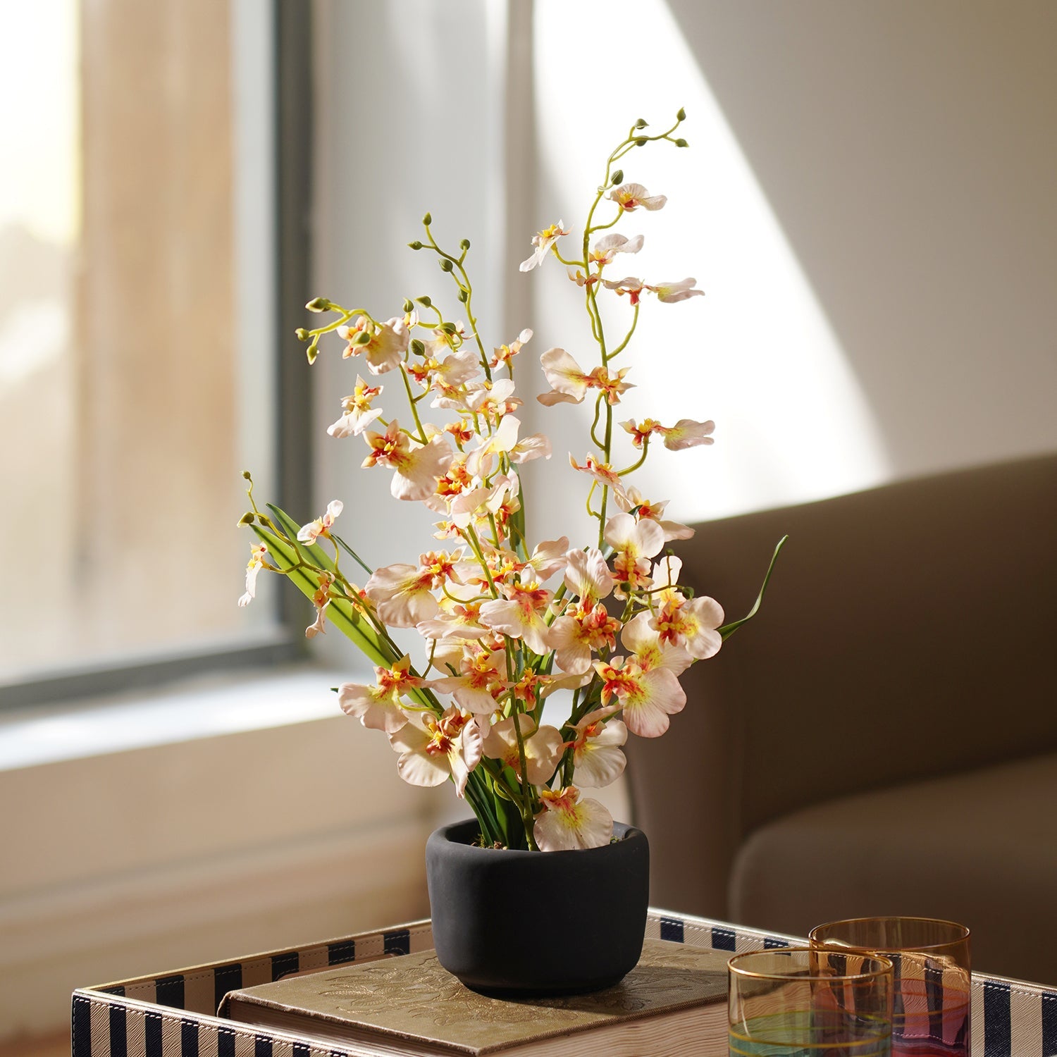 Ivory Artificial Dancing Lady Orchid in Cement Pot