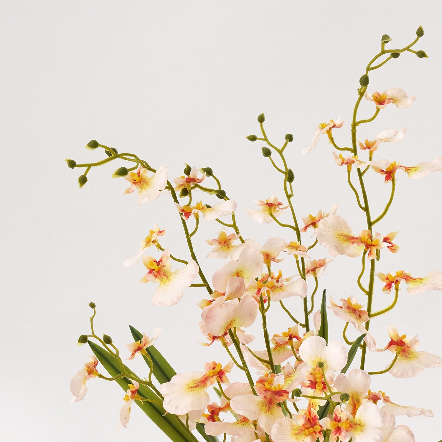 Ivory Artificial Dancing Lady Orchid in Cement Pot
