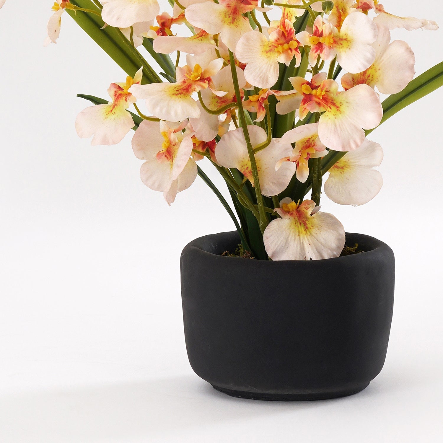 Ivory Artificial Dancing Lady Orchid in Cement Pot