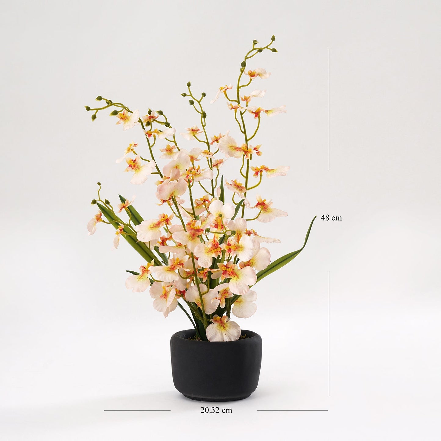 Ivory Artificial Dancing Lady Orchid in Cement Pot