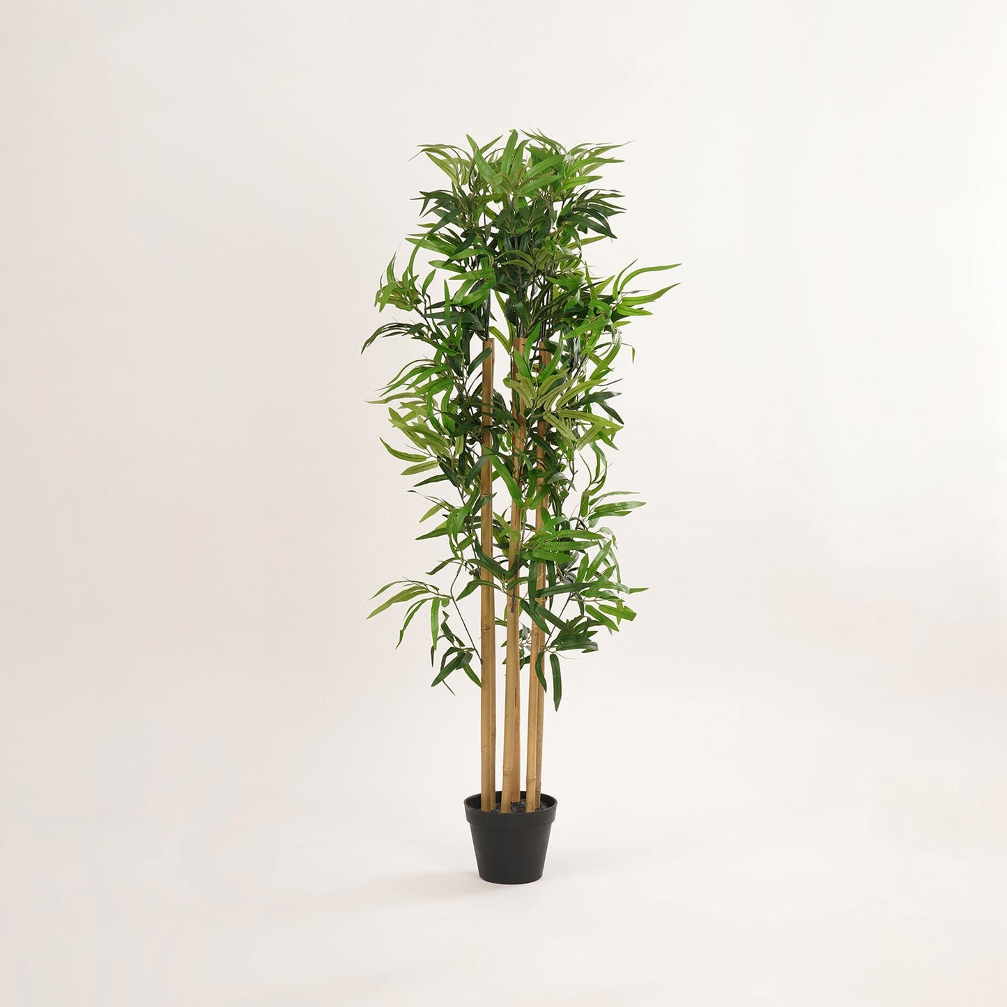 Green Faux Bamboo Potted Plant - Medium