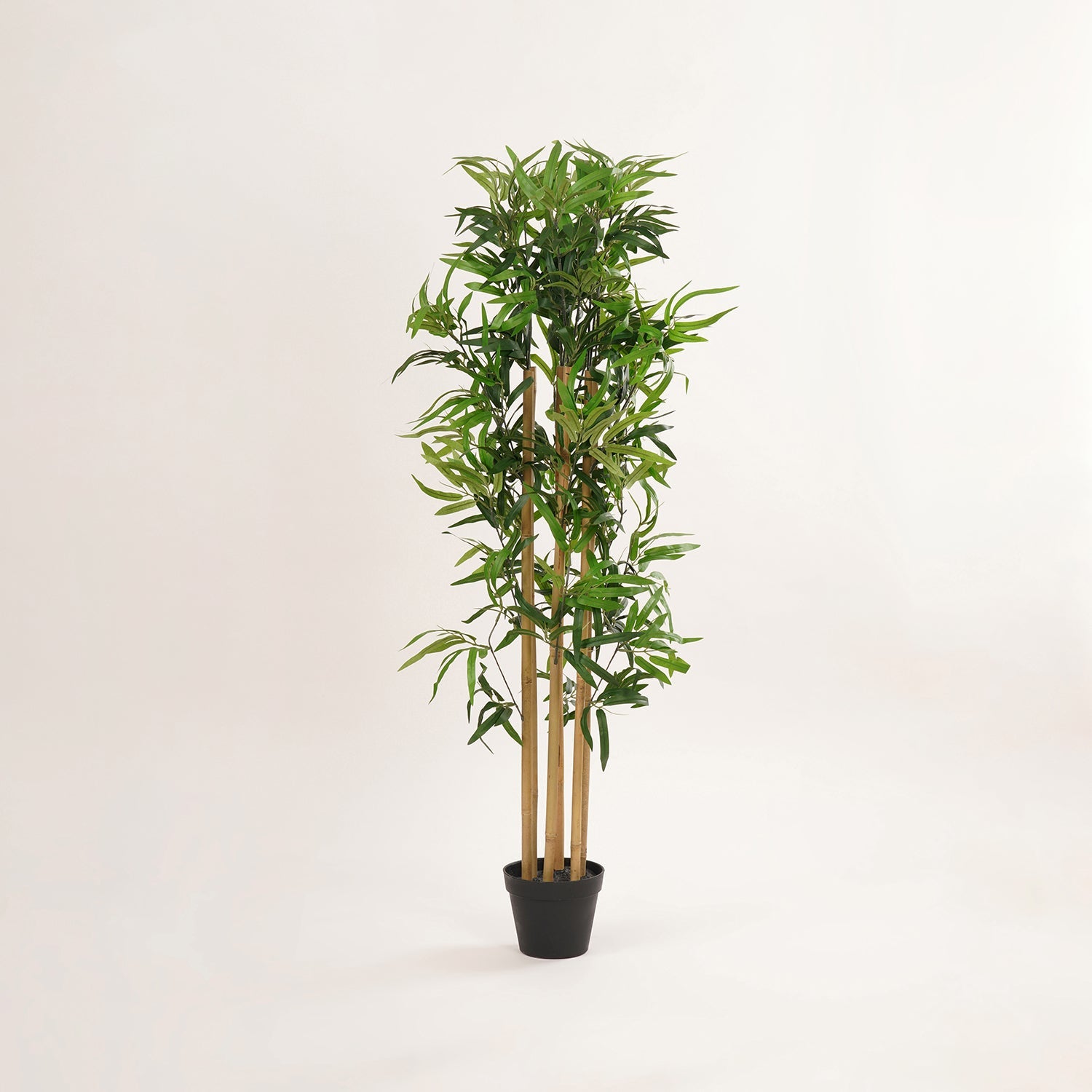 Green Faux Bamboo Potted Plant - Medium