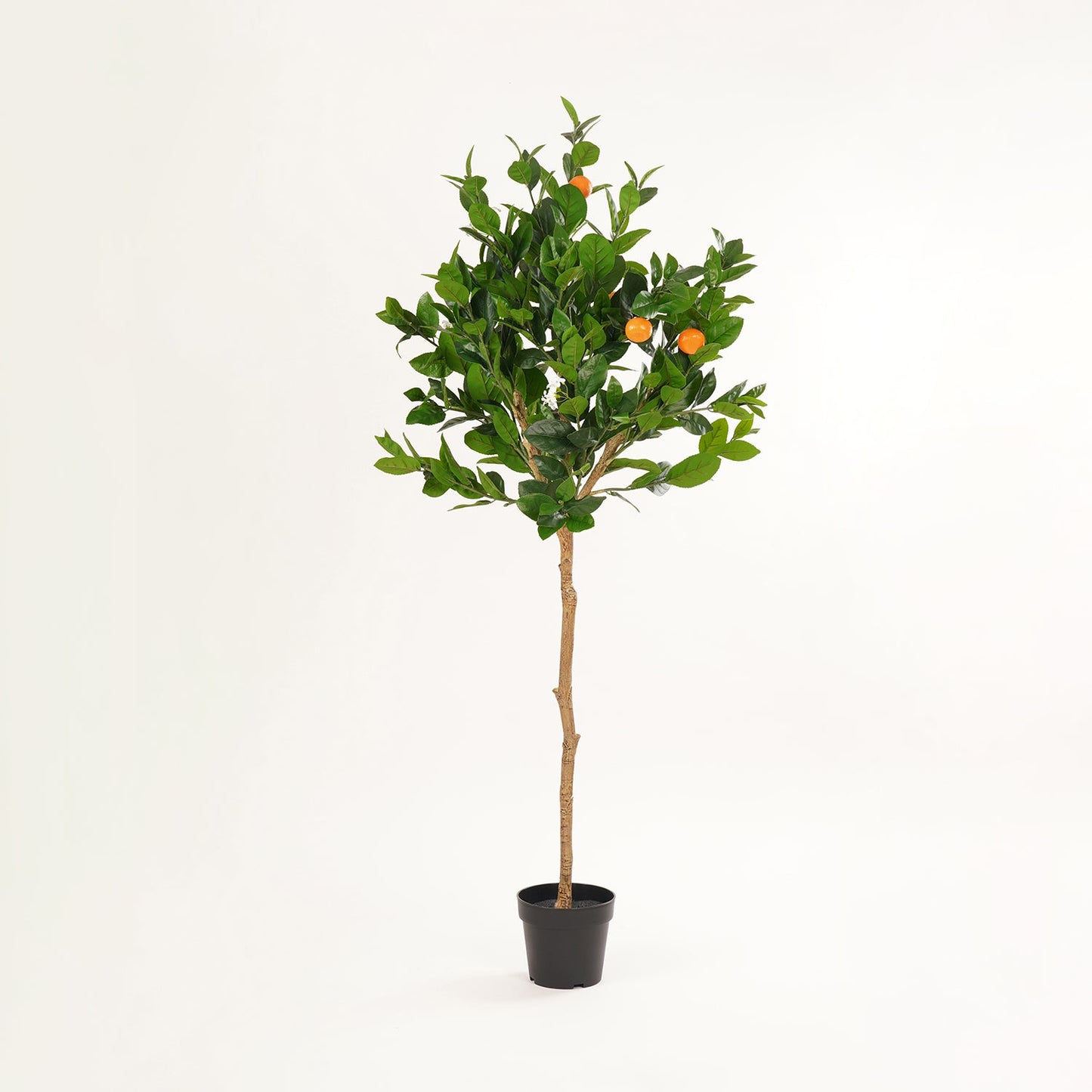 Green Orange  Faux Citrus Potted Plant - Large