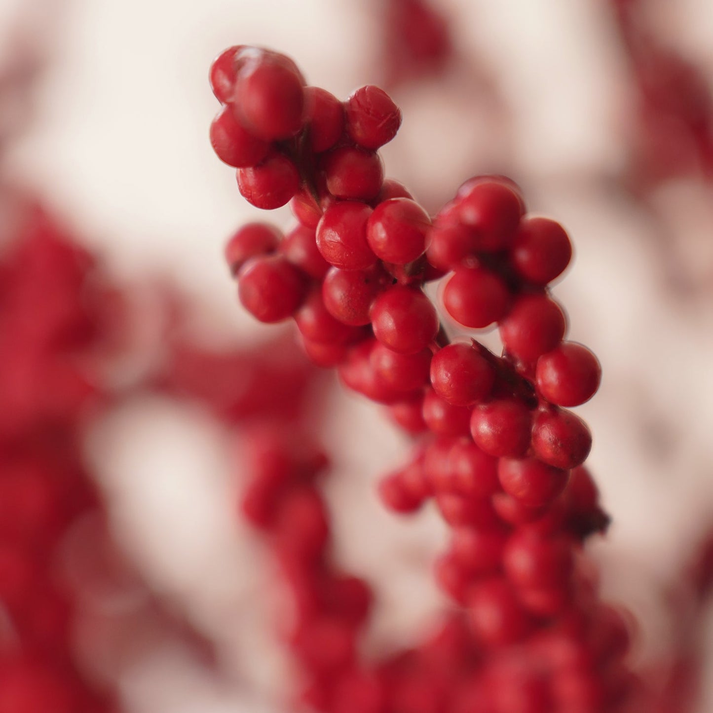 Red Small Artificial Berry Spray - Single