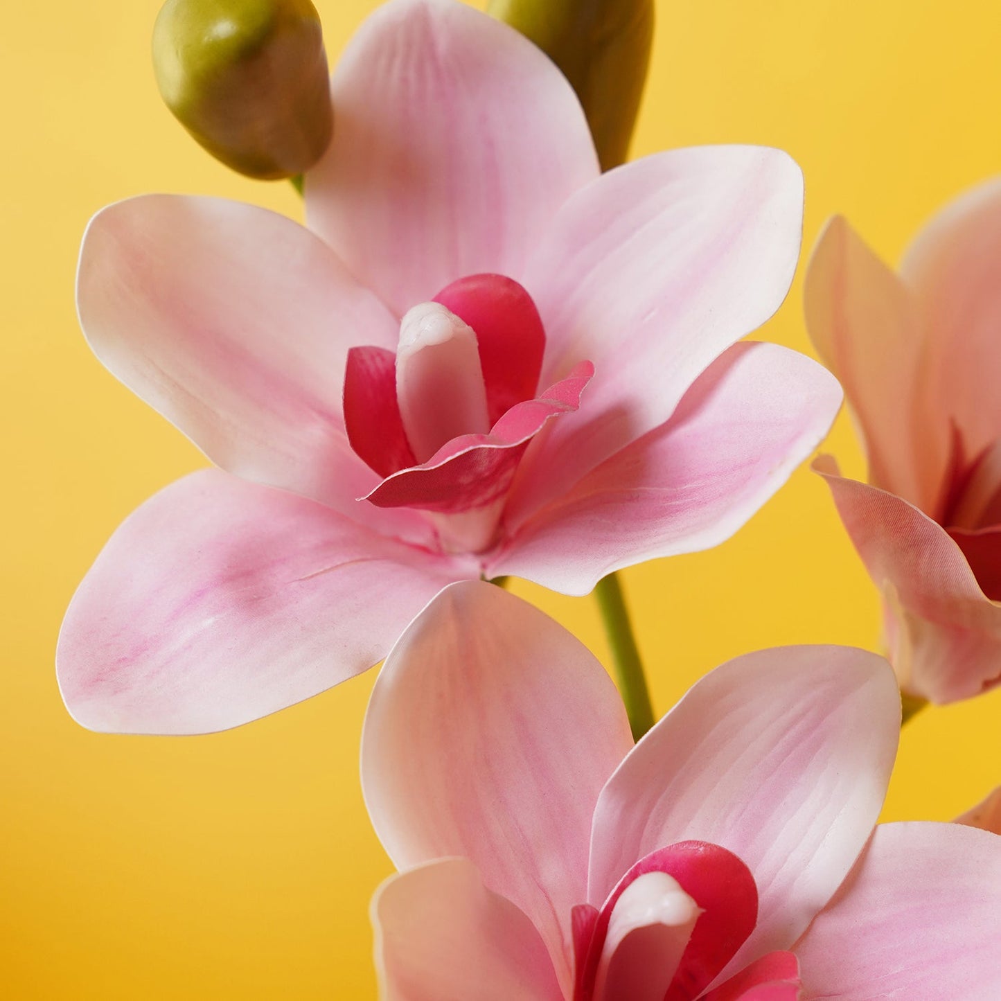 Light Pink Artificial Cymbidium Potted Plant