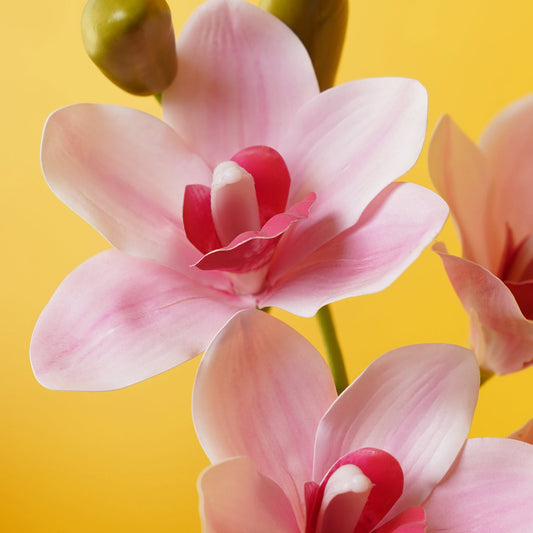 Light Pink Artificial Cymbidium Potted Plant