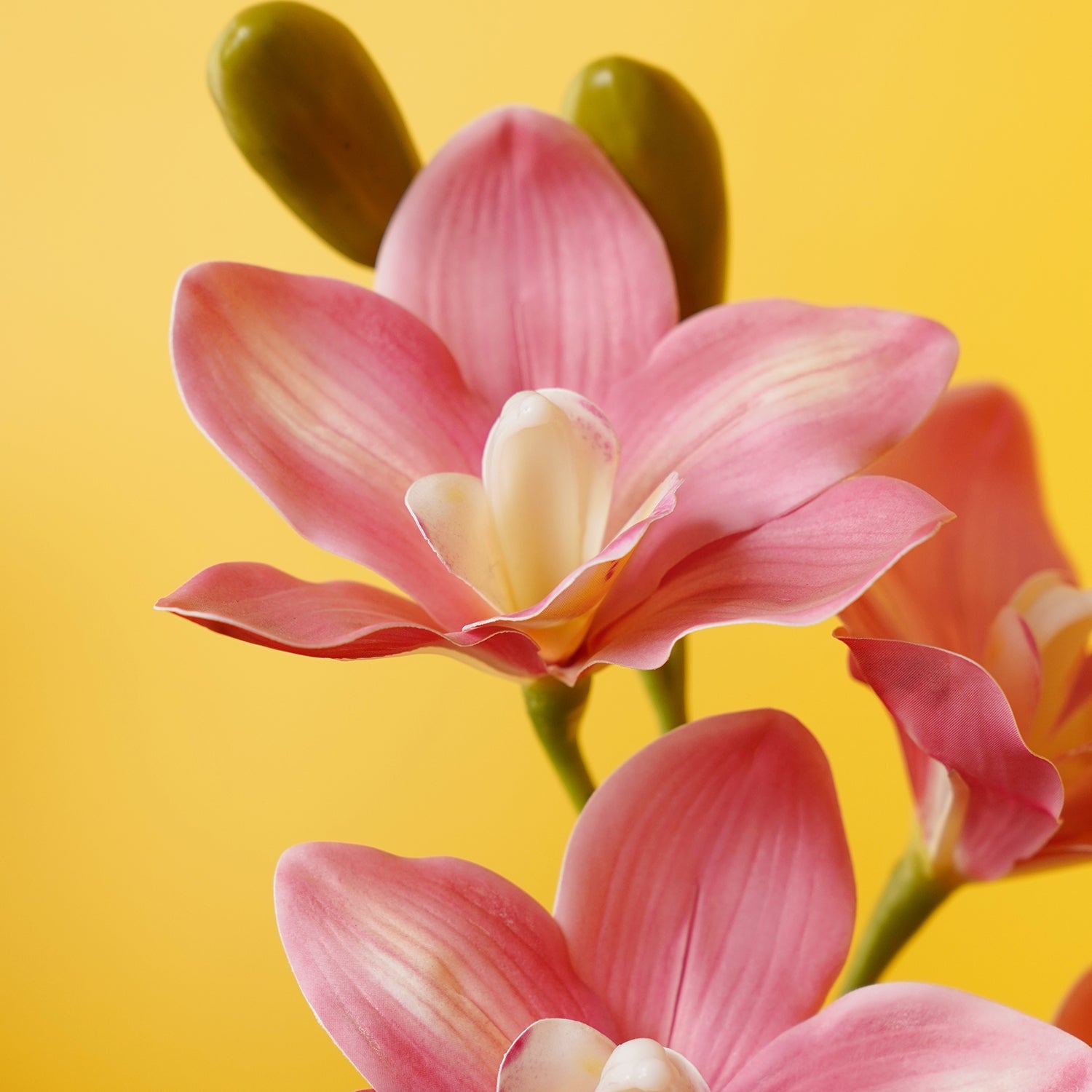 Dark Pink Artificial Cymbidium Potted Plant