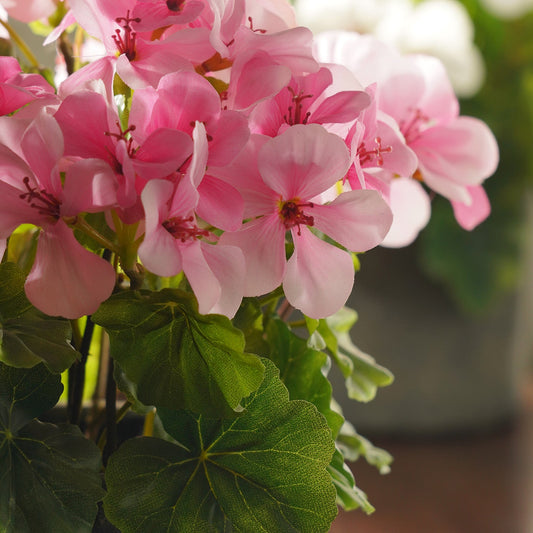 Light Pink Artificial Begonia Potted Plant