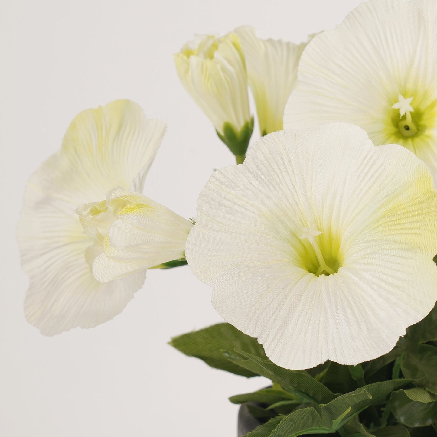 Ivory Artificial Petunia Potted Plant