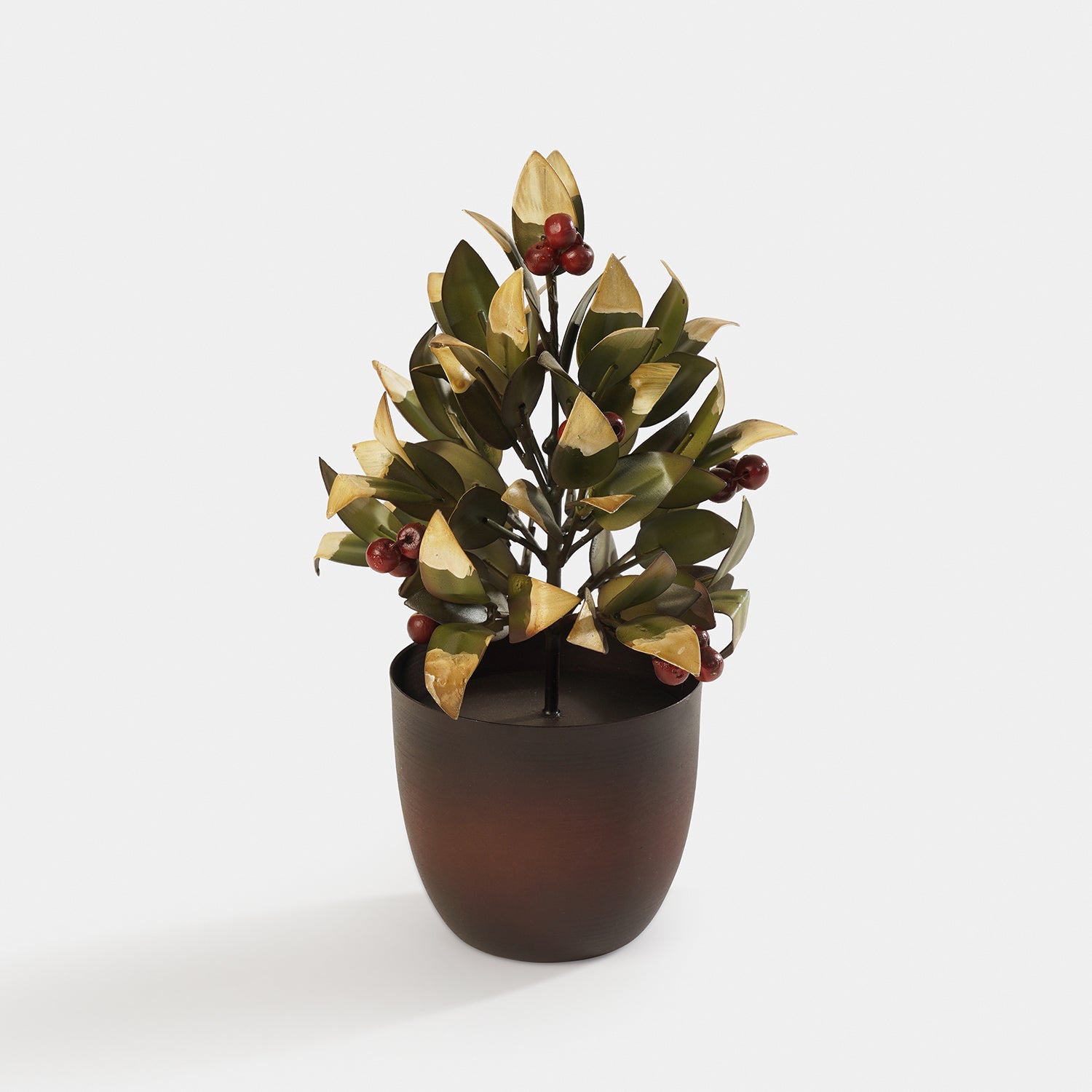 Red Olive Metal Plant