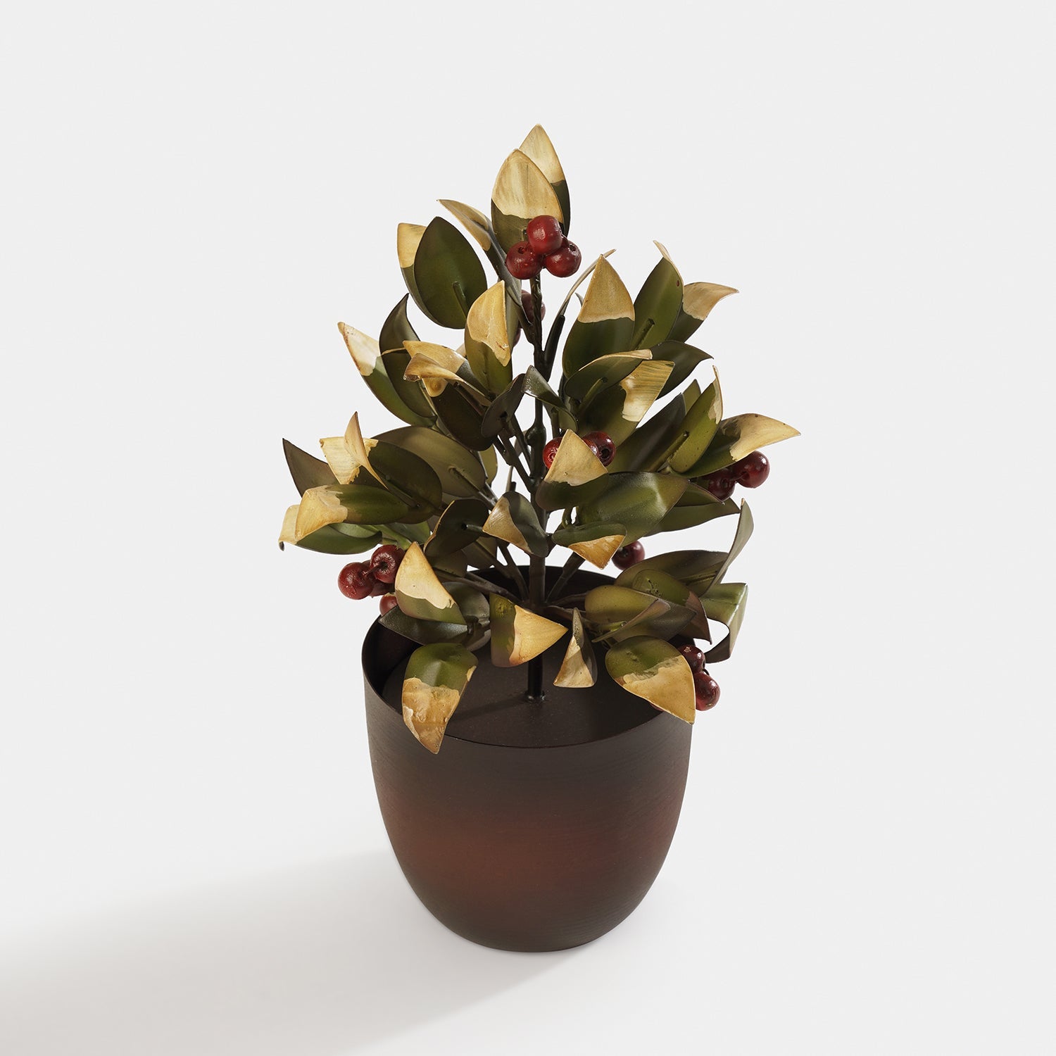 Red Olive Metal Plant
