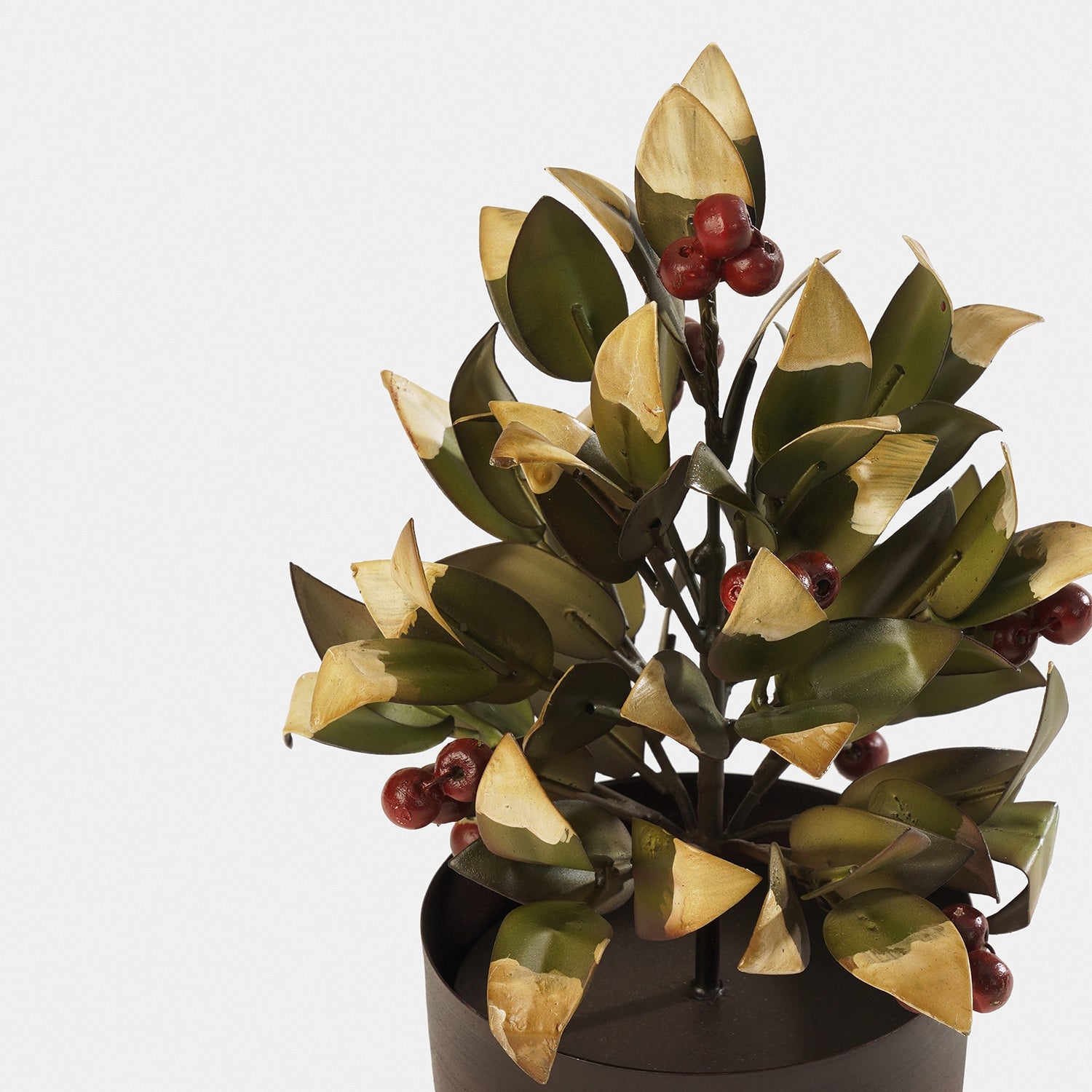 Red Olive Metal Plant
