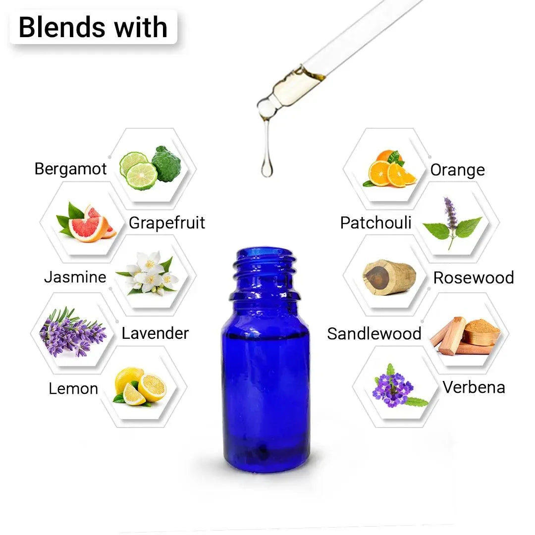 Basil Essential Oil, Therapeutic, Pure & Natural, Holy Basil (Tulsi) Spiritual Concentration, Headache, Digestive & Antiseptic 10ml 10ml