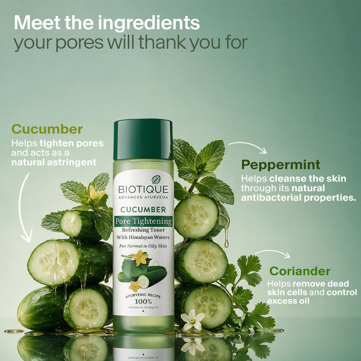 【Biotique】 CUCUMBER Pore Tightening Refreshing Toner 190ml｜きゅうり ポアタイトニング リフレッシング トナー｜190ML