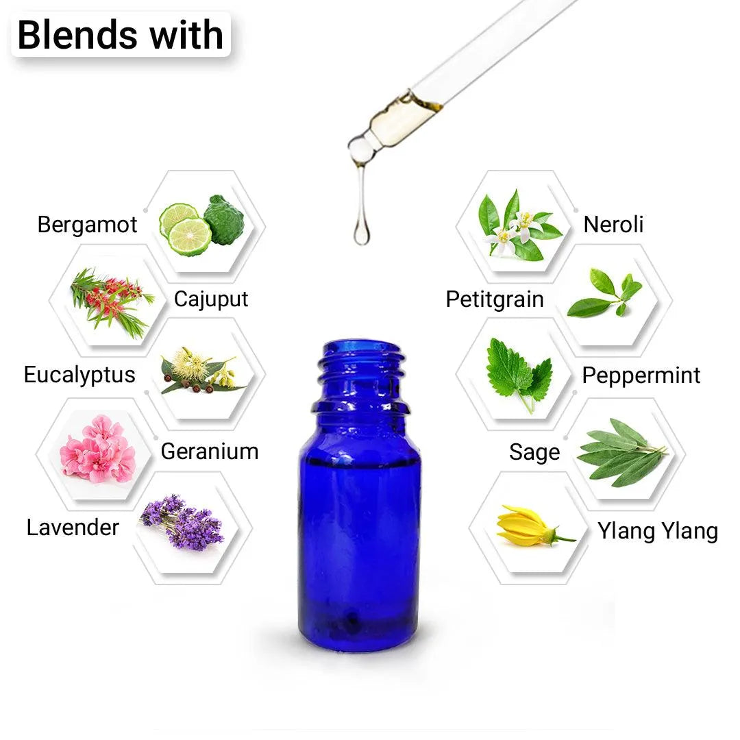Citronella Essential Oil, Therapeutic, Pure & Natural, Insect & Mosquito Repellent, Antiseptic, Mood Up lifter 10ml 10ml