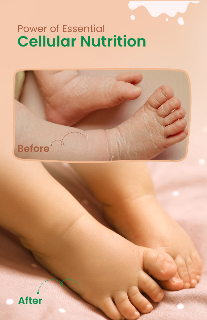 Tender Coconut Fresh Baby Malai 120ml x 2
