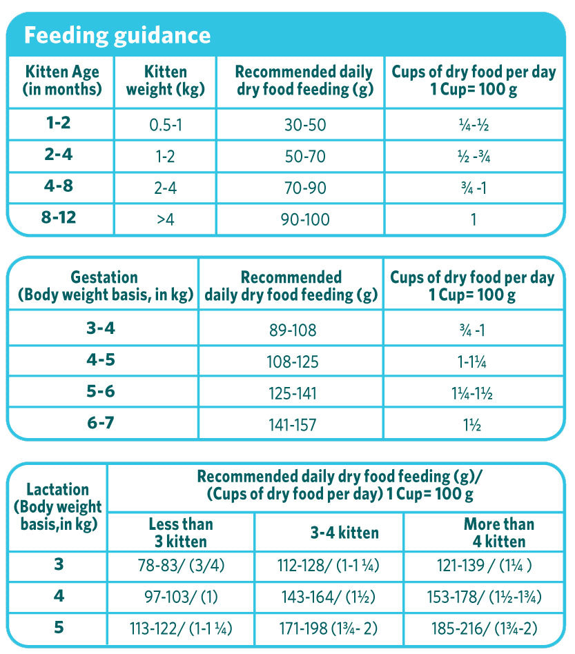 Healthy CAT food Kitten – Ocean Fish and Chicken 3kg