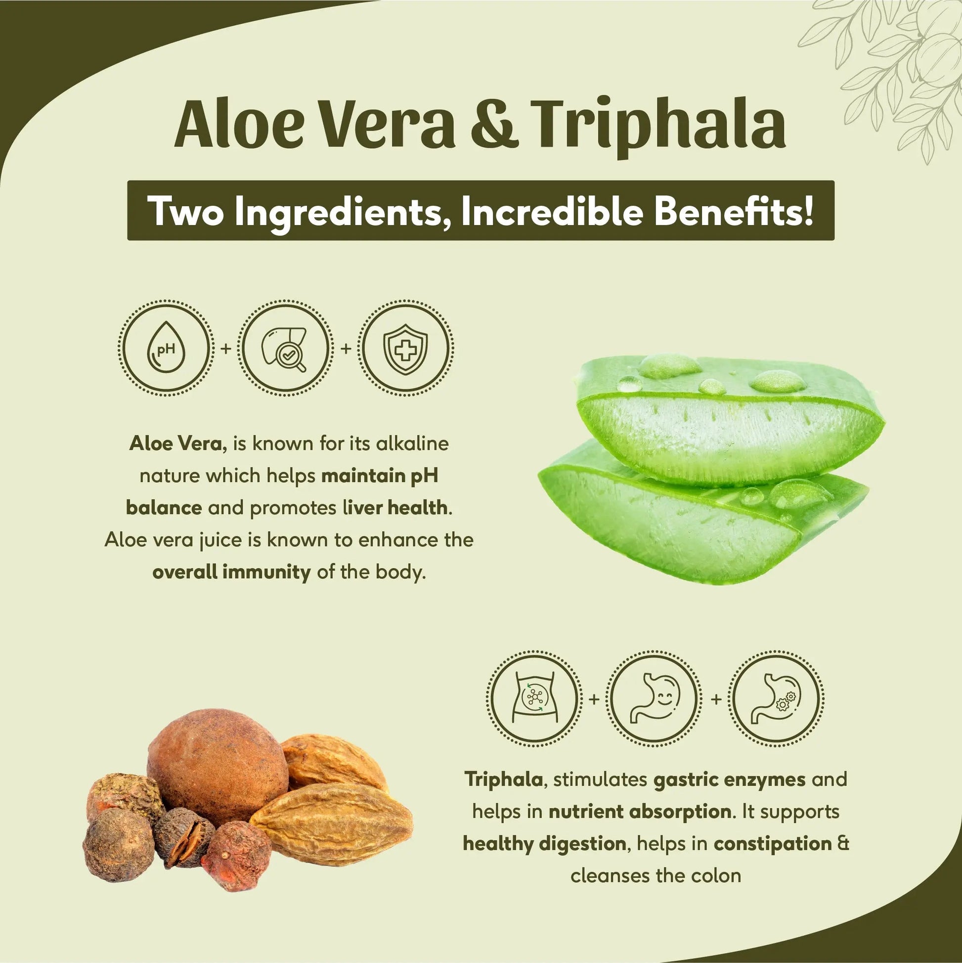 Aloe Vera Triphala Juice - Fibre Rich Daily Detox | Gentle Inner Cleanse, Digestive Support, Weight Management | No Added Sugar | 500 ml 500ml
