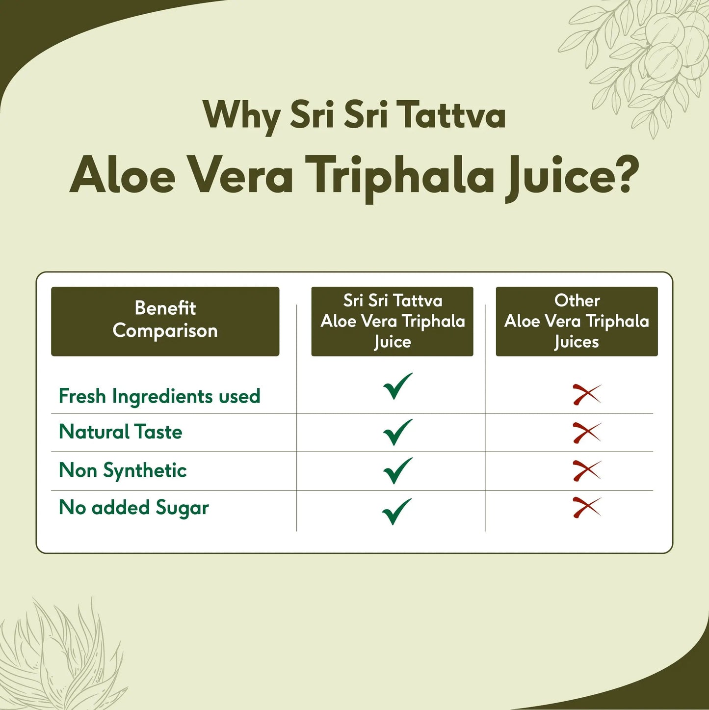 Aloe Vera Triphala Juice - Fibre Rich Daily Detox | Gentle Inner Cleanse, Digestive Support, Weight Management | No Added Sugar | 500 ml 500ml