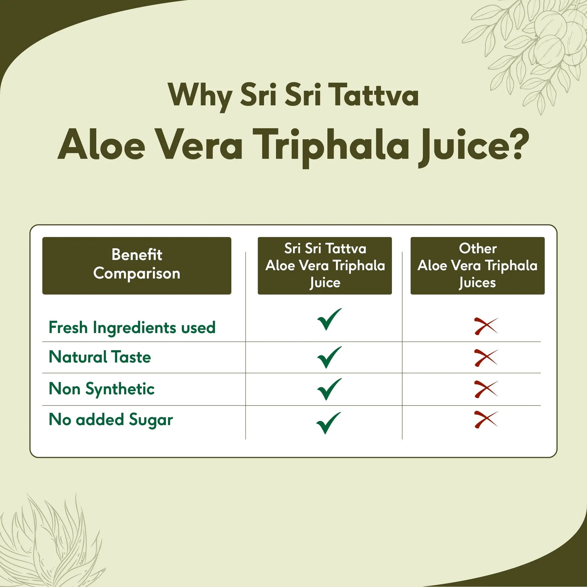 Aloe Vera Triphala Juice - Fibre Rich Daily Detox | Gentle Inner Cleanse, Digestive Support, Weight Management | No Added Sugar | 500 ml 500ml
