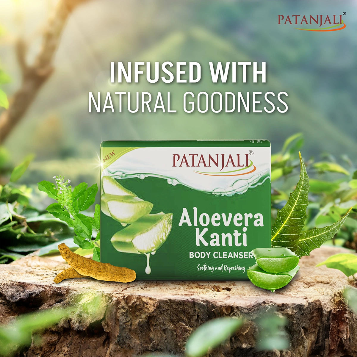 Patanjali Aloevera Kanti Body Cleanser 75g