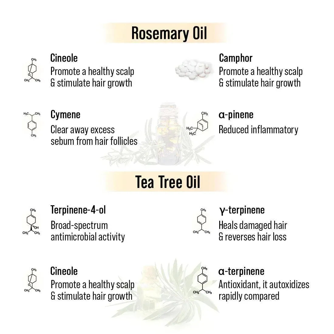 Alopex Long N Strong Hair Oil with Rosemary & Tea Tree Essential Oil – Strengthens Hair, Reduces Hair Fall, Promotes Hair Growth & Nourishes Hair Follicles & Scalp 100ml x 3