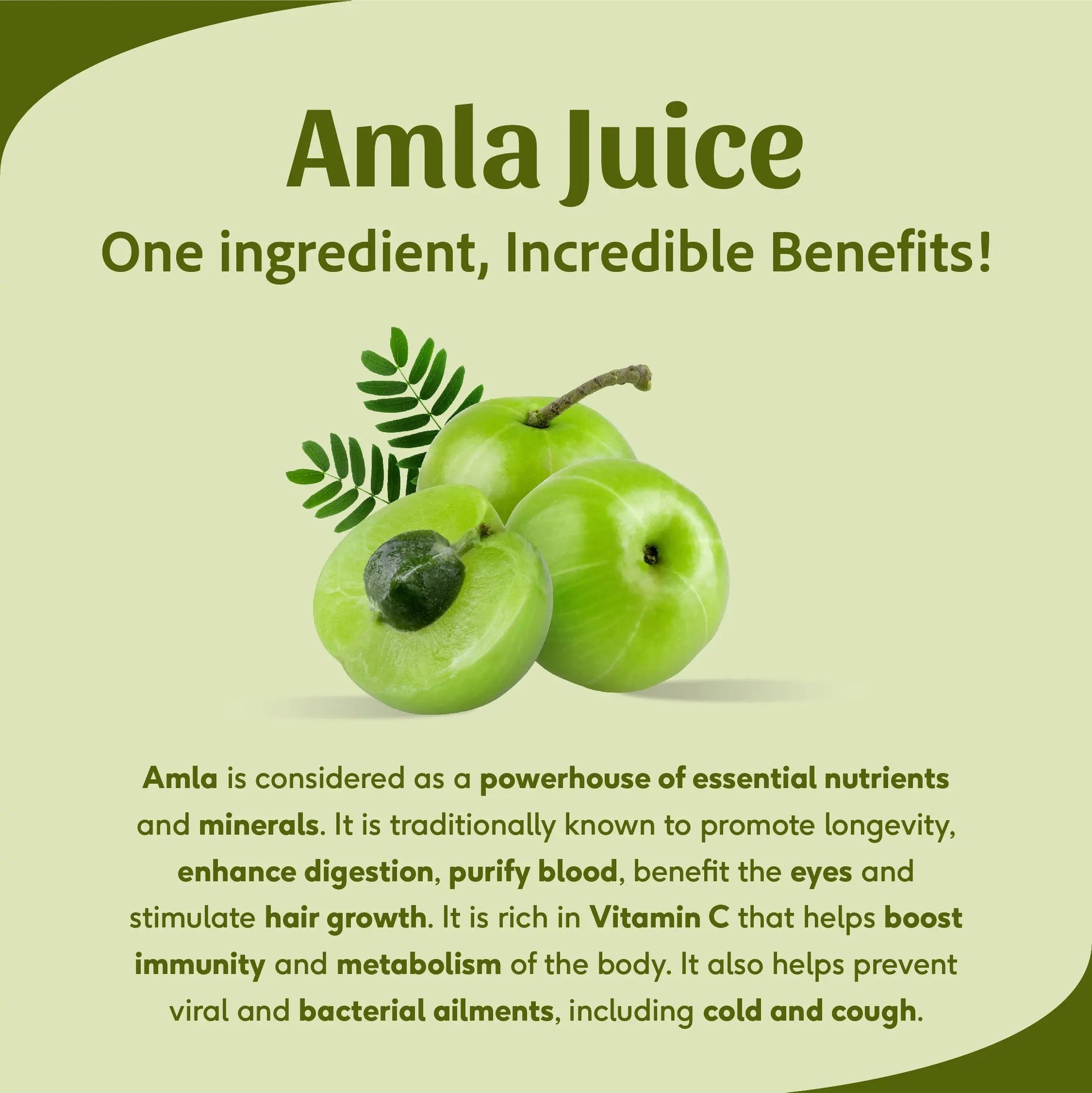 Amla Juice - Energise With Vitamin C | Rejuvenator, Immunity Builder, Antioxidant | No Added Sugar | 1 L 1L