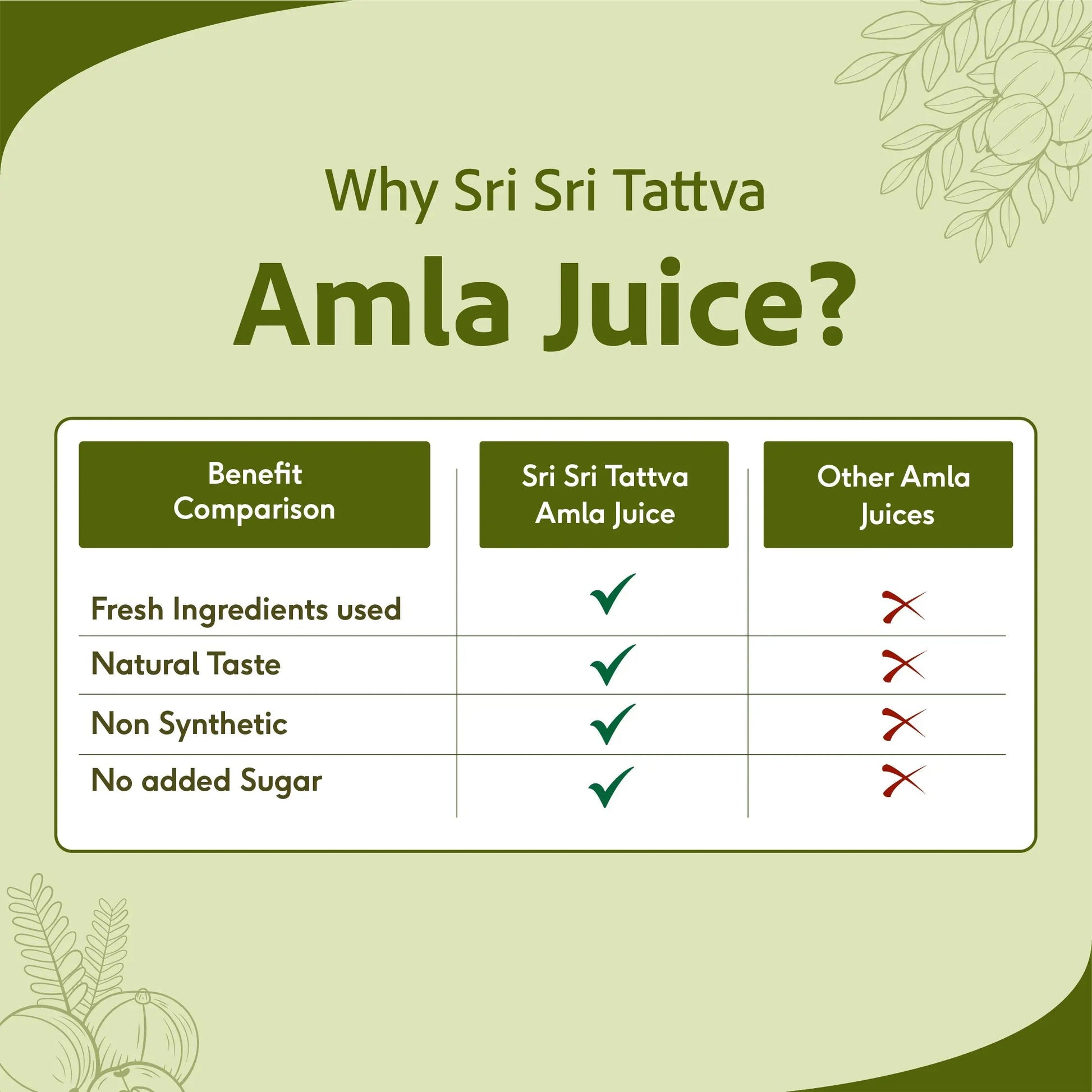 Amla Juice - Energise With Vitamin C | Rejuvenator, Immunity Builder, Antioxidant | No Added Sugar | 1 L 1L