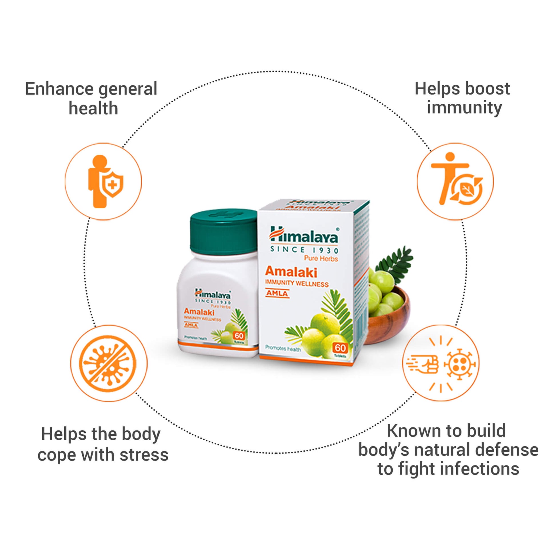 Amalaki 60 Tablets