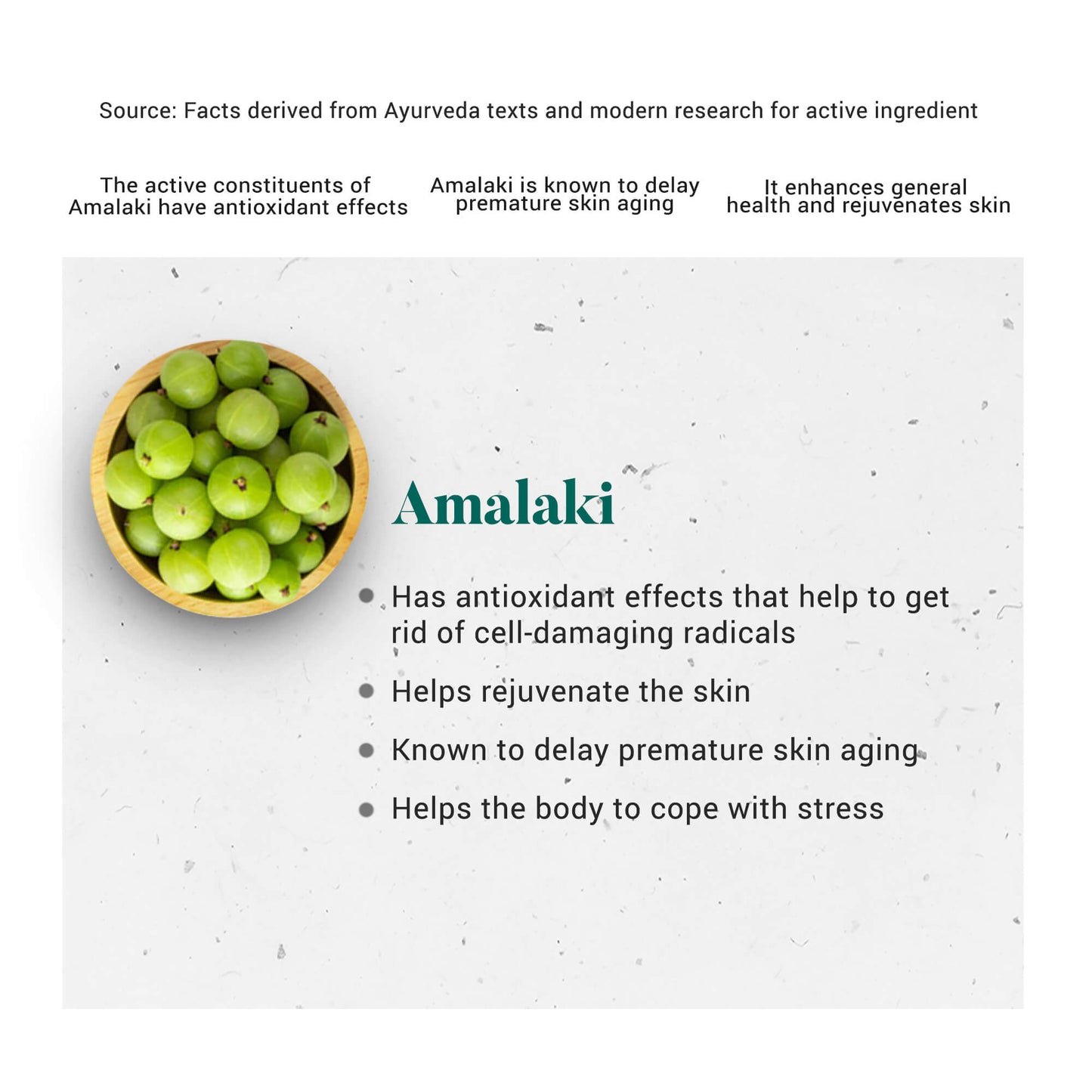 Amalaki 60 Tablets