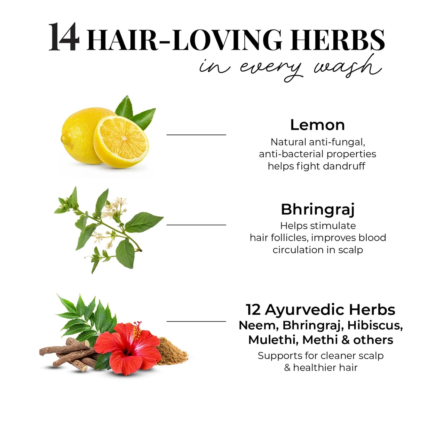 Anti Dandruff Shampoo | Lemon, Bhringraj & 12 Herbs 200ml