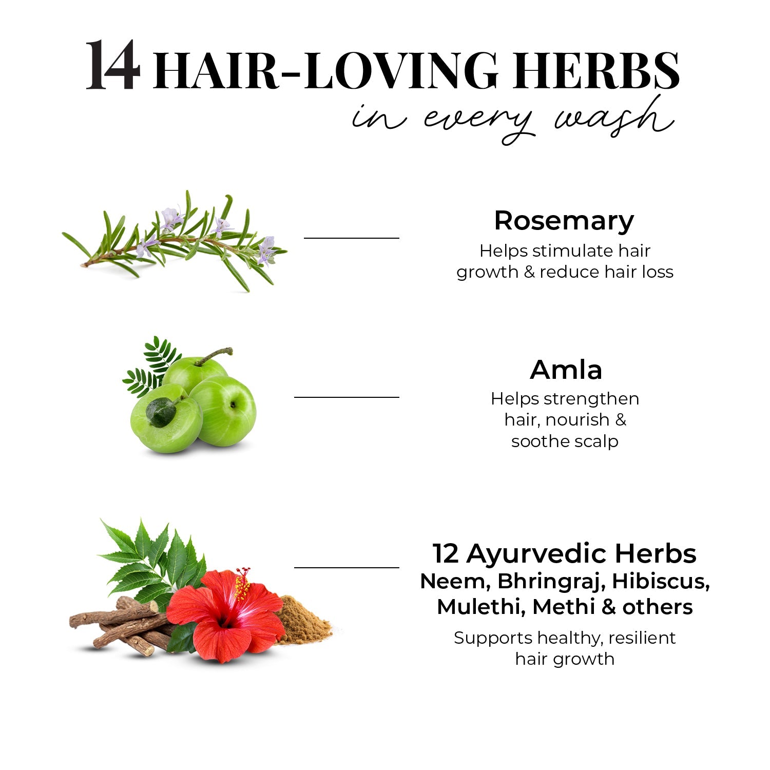 Anti Hairfall Shampoo | Rosemary, Amla & 12 Herbs 200ml