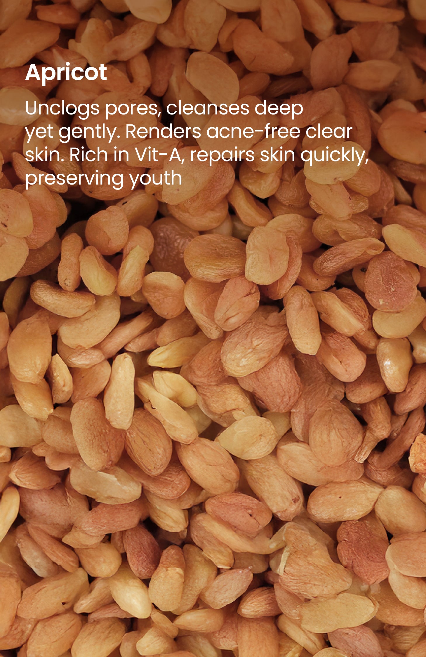 Cold Processed Exfoliating Wild Apricot Soap 125g-v1