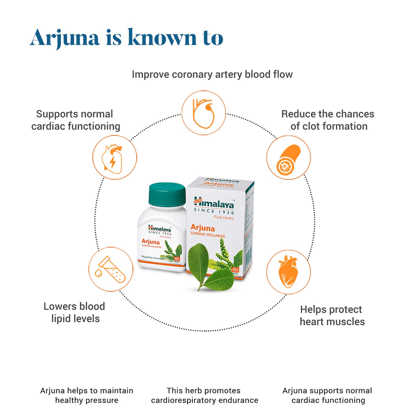 Arjuna 60 Tablets