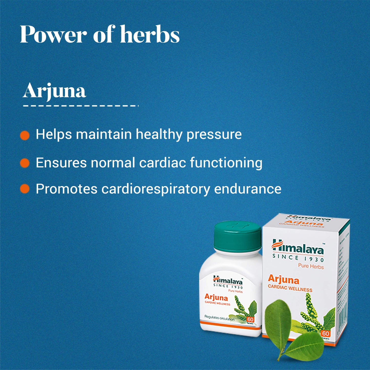Arjuna 60 Tablets