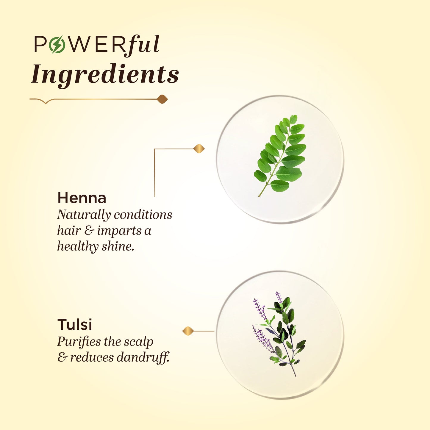 Henna Tulsi Extra Conditioning Hair Cleanser (SLS & Paraben Free) & Henna Tulsi Hair Conditioner Combo Pack of 2 210ml Each